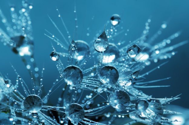 Science Resources for COVID-19 School Closures
